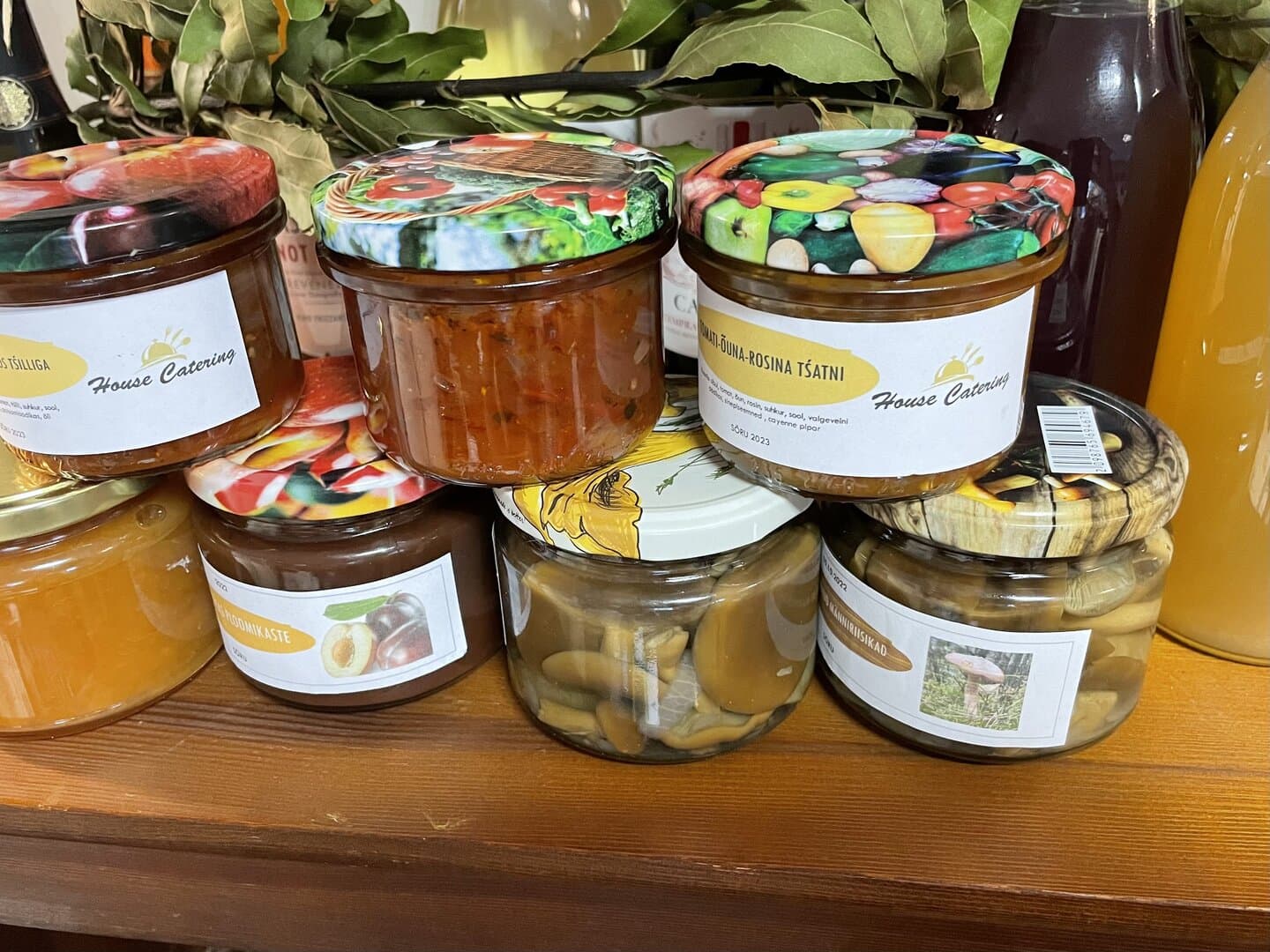 Teemaja pannkoogimoos